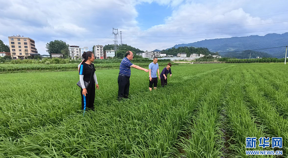 yl8cc永利线路检测中心