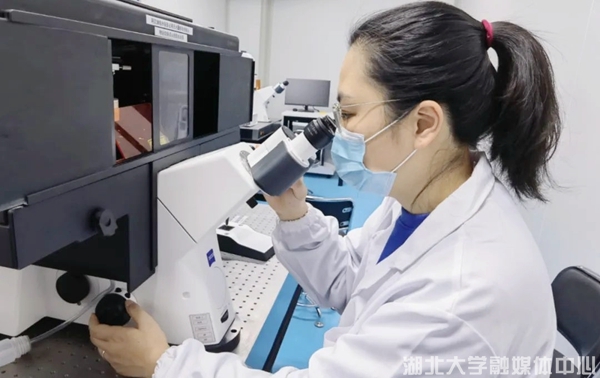 yl8cc永利线路检测中心