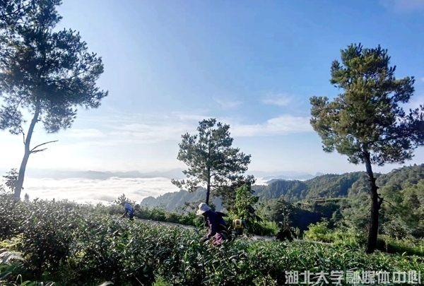 yl8cc永利线路检测中心